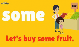 英语视频,Summarizing Key Points from the English Video